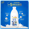 伊利高品质全脂鲜牛奶1.5L桶装鲜活营养早餐巴氏杀菌低温牛乳 商品缩略图0