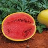 农场有机西瓜(黄皮爱娘)	Organic Watermelon 2.5kg/个 商品缩略图0