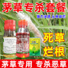 顽固茅草游草芦苇专杀套餐除草剂死根灭草剂一年生禾本科杂草专用 商品缩略图4