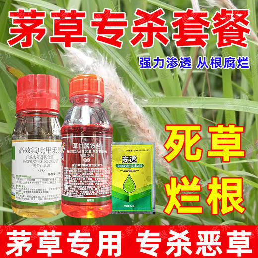 顽固茅草游草芦苇专杀套餐除草剂死根灭草剂一年生禾本科杂草专用 商品图4
