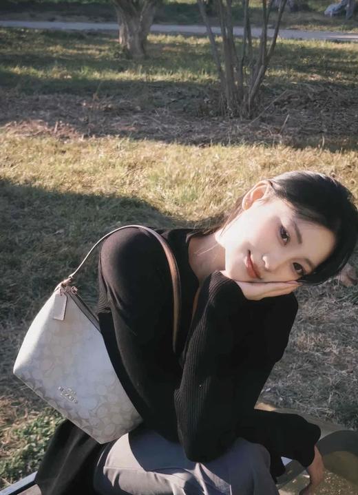 代工厂捡漏随时下架蔻c*老花月牙饺子包 商品图2