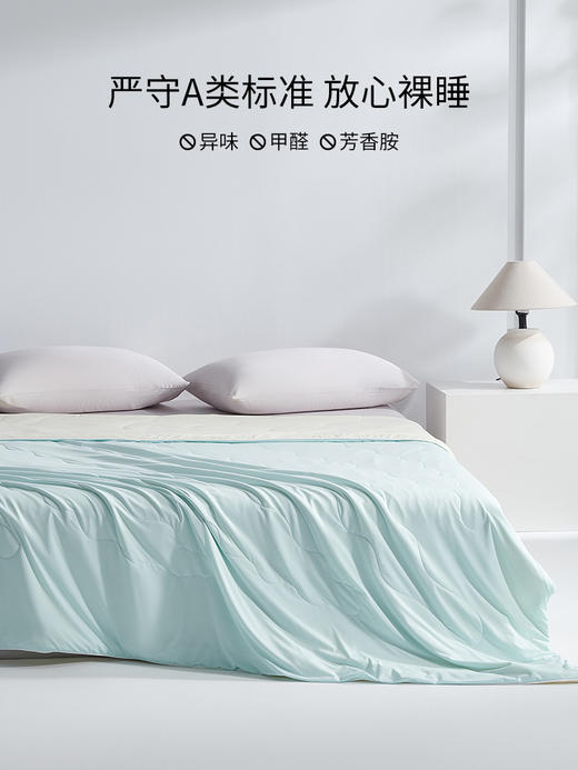 佳丽斯空调蚕丝芯双面缎面桑蚕丝夏空调被 商品图7
