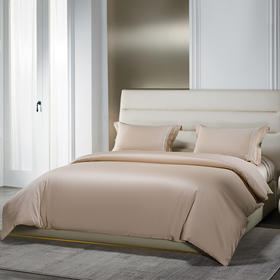 BOSS 天丝棉贡缎四件套（香槟金）HBTSM001