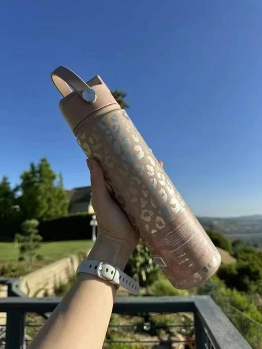 美国本土 · Hydraflow HYBRID系列保冷可手提吸管水杯 750ml ｜美国直邮 商品图2