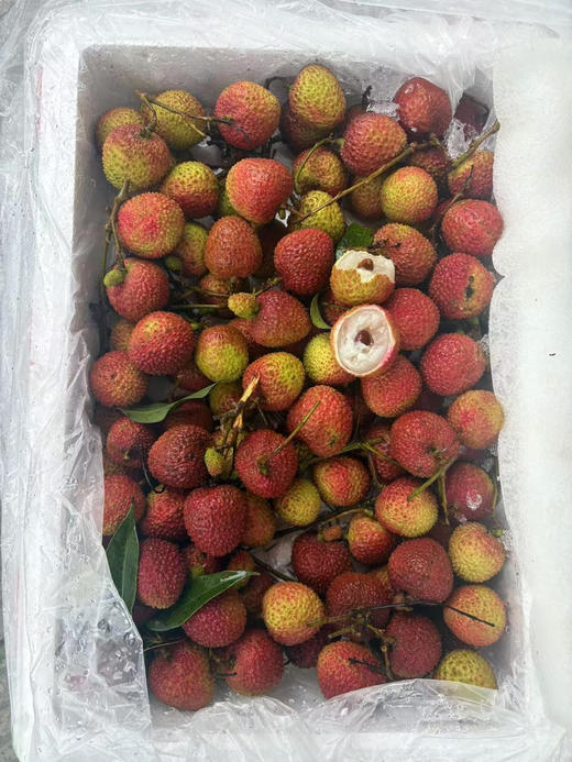 团35.8元一件广东妃子笑荔枝净果约6斤（7.2-7.3提货） 商品图0