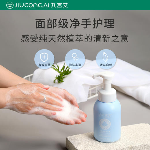九宫艾艾叶洗手液滋润护手大容量易冲洗温和清洁成人儿童家用 商品图4