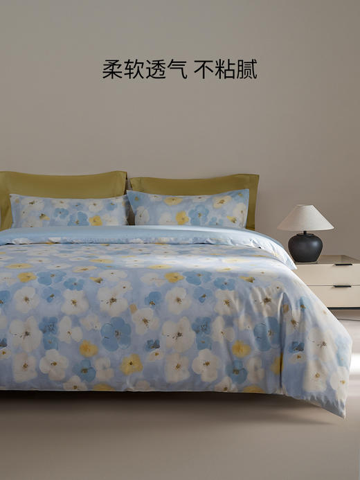 佳丽斯四件套100全棉纯棉四件套床单被套主卧印花亲肤软糯 商品图4