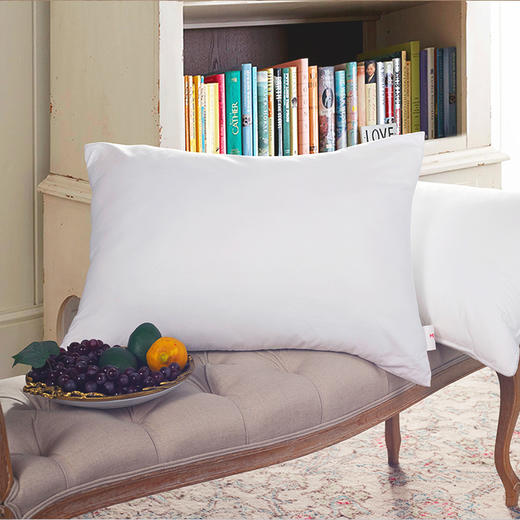 【梦洁臻柔享梦对枕890260】48*74cm*2个 饱满蓬松 透气吸湿 商品图0