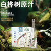 小康龙江白桦树原汁300ml/6瓶 商品缩略图0