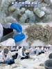 【冷冻生鲜】青岛大虾仁 精品鲜剥虾仁{无保水剂不泡药有检测}青岛直发 顺丰京东包邮 多规格选择 {冷冻生鲜食品请及时签收}48-72小时发货 勿催单 商品缩略图1