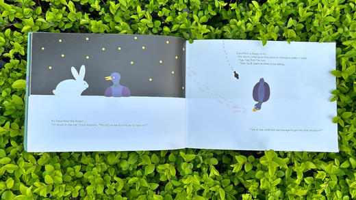 Duck Is Stuck适合3岁+探索世界情商开发友谊动物英文绘本 商品图1