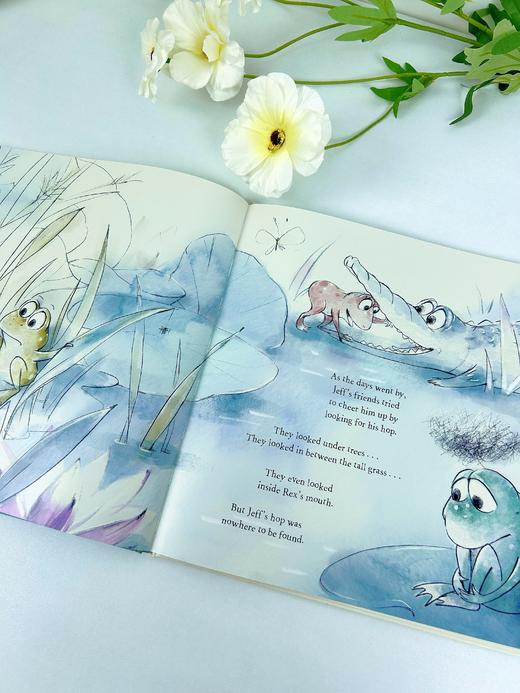 【Clavis】Jeff the Frog. The Lost Hop原版英文儿童绘本 商品图4