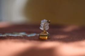 力拔山兮气盖世 小青蛙