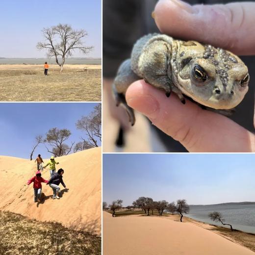 【十一单飞亲子】北京-内蒙3日草原骑马射箭多伦河漂流,探索浑善达克沙地,夜晚睡在自己搭的蒙古包里7.7~7.9|6~16岁单飞/亲子 商品图1