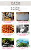 蜂窝窝 天然蜂蜜 商品缩略图4