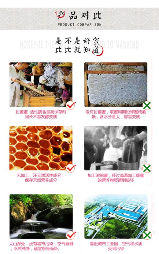 蜂窝窝 天然蜂蜜 商品图4