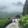 武夷山茶旅静修 商品缩略图1