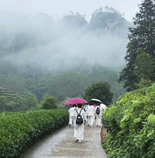 武夷山茶旅静修 商品图1