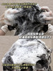 【买一享3丨到手1590毫升】发之食谱无花果蓬松洗发水530ml*2（加赠无花果护发素530毫升） 商品缩略图6