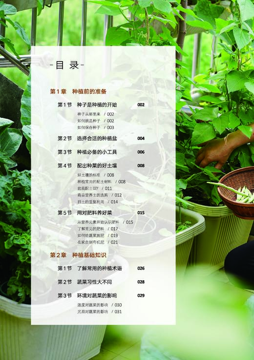 阳台种菜  taco的有机种植生活 商品图2