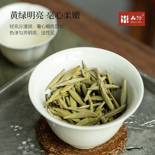「北路白茶」清明 福鼎白茶白毫银针2025新茶清明茶特级散茶叶100g 商品图3