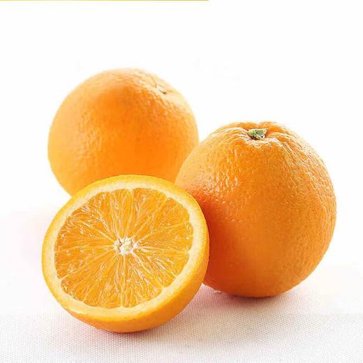 新奇士橙 橙子 商品图5