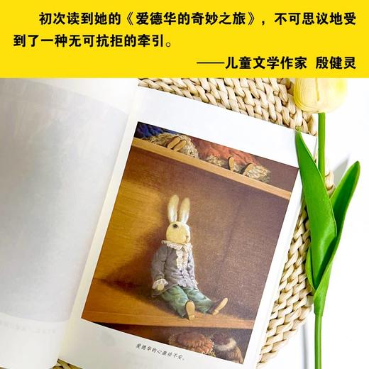 2025年百班千人暑期书目四年级 爱德华的奇妙之旅 名师推荐正版现货 商品图2