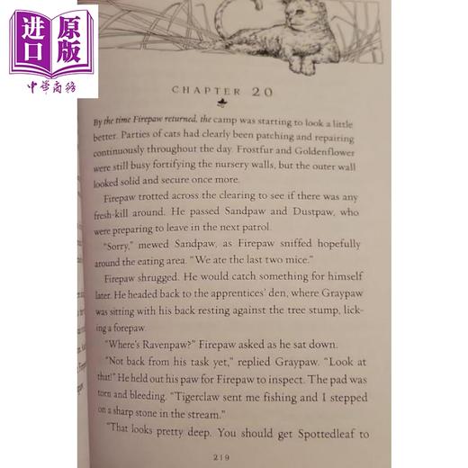 【中商原版】猫武士一部曲预言开始6册 赠音频 790~900L Warriors The Complete First Series 英文原版传奇的猫族 儿童文学章节书小说 商品图2