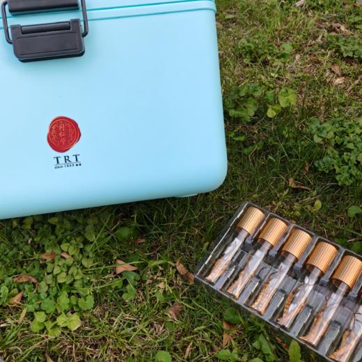 北京同仁堂 鲜虫草  0.8-1.0/根 ，81根 商品图1