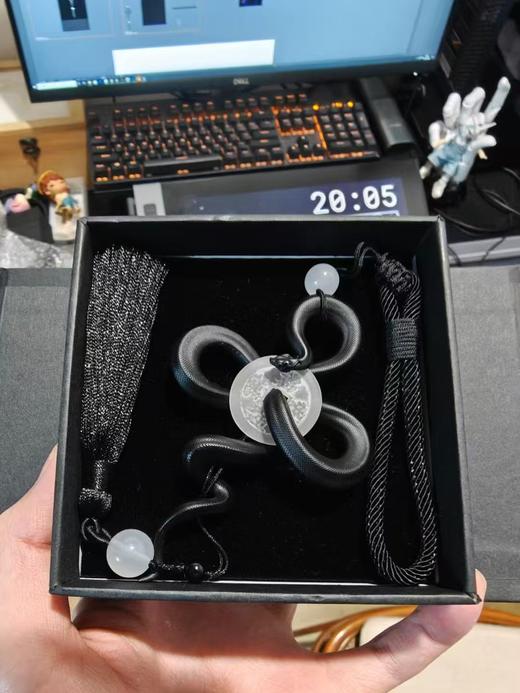 蛇主题 挂件 中国结塑料铜钱 爬宠周边文创个性礼品 ★小歪萌宠 正版 商品图2