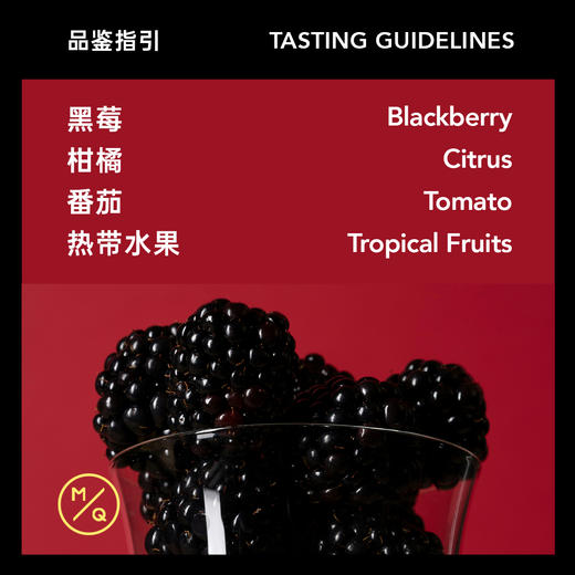 【肯尼亚标王】明谦肯尼亚标王精品手冲咖啡豆 商品图1