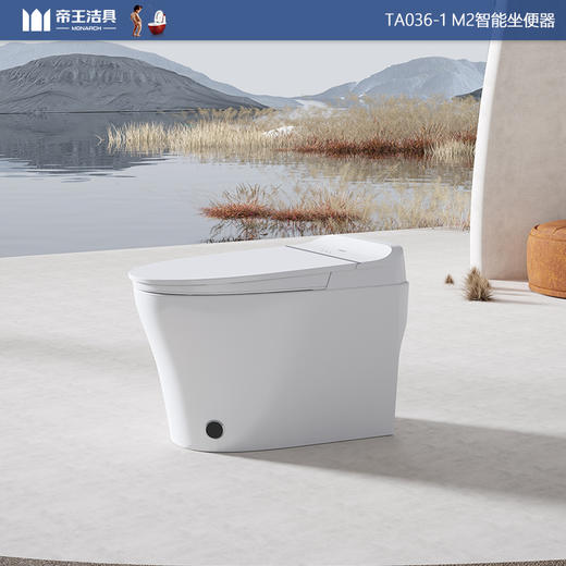 【门店款】帝王洁具M2智能马桶家用智能清洗虹吸抗菌座便器TA036 商品图0