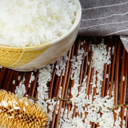 天仁道五常醇香米(东北大米)5kg/袋 商品图3