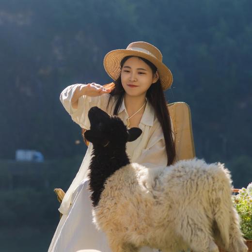 那云度假村^悬崖上的天空之城丨崖间·滑梯/家庭/驻云房型（3选1）1晚套餐丨丽水景宁 商品图9