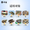 华畜免疫多糖水产养殖鱼虾蟹保肝护胆提免疫力抗应激提食欲促生长 商品缩略图3