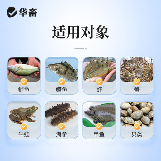 华畜免疫多糖水产养殖鱼虾蟹保肝护胆提免疫力抗应激提食欲促生长 商品图3