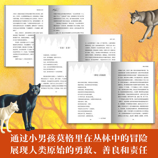 2025年百班千人暑期书目四年级 丛林故事集 名师推荐正版现货 商品图2