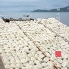 【闹妈】舟山桃花岛米面米线海鲜面炒米面食材2份装共700g左右 商品缩略图2