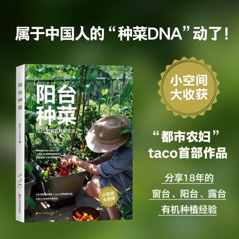 阳台种菜  taco的有机种植生活