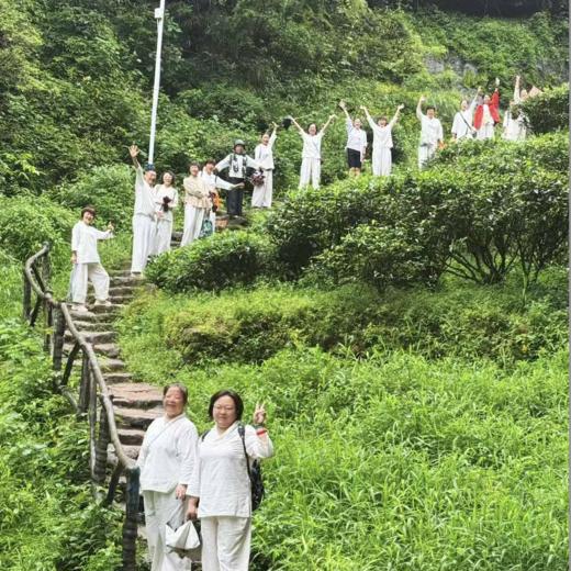 武夷山茶旅静修 商品图3