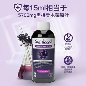 Sambucol善倍康 黑接骨木莓风味糖浆 清新酸甜 120ml/瓶