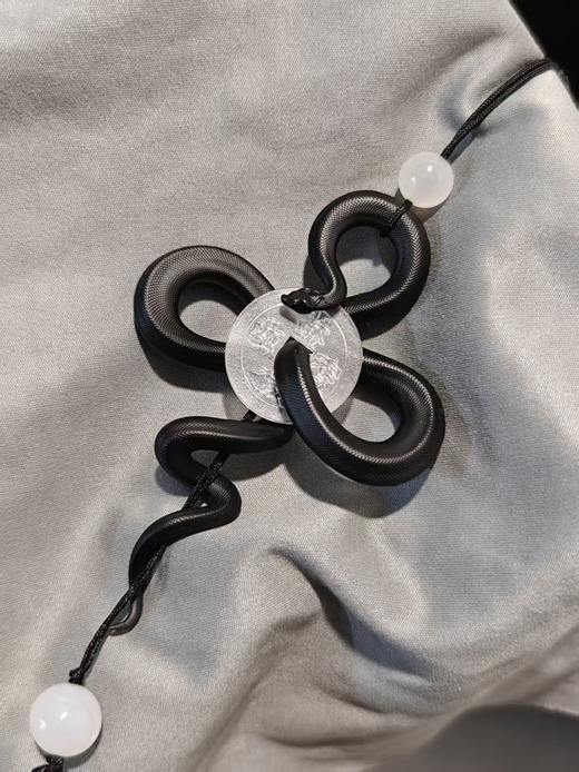 蛇主题 挂件 中国结塑料铜钱 爬宠周边文创个性礼品 ★小歪萌宠 正版 商品图3