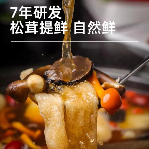 云南香格里拉松茸鲜 固态调味料 商品图4