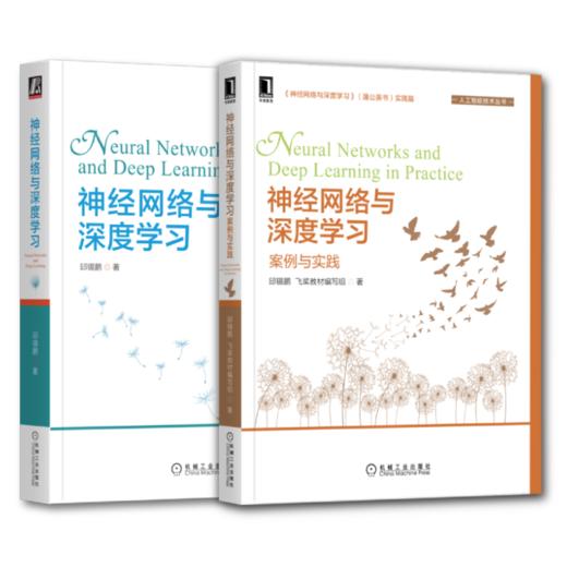 官网 神经网络与深度学习+案例与实践 套装全2册 邱锡鹏 深入浅出讲解神经网络与深度学习原理技术书籍 商品图3