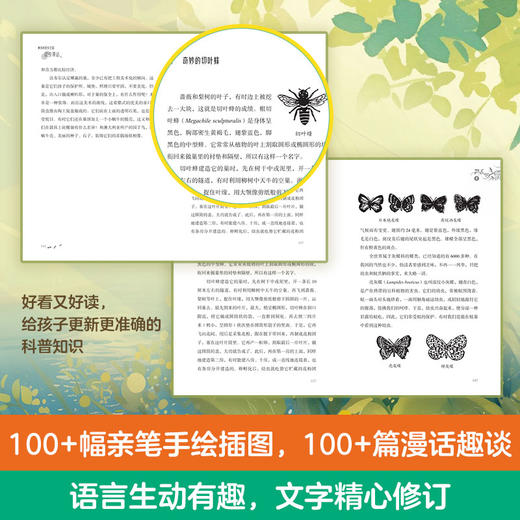 2025年百班千人暑期书目四年级 神奇的昆虫王国昆虫漫话 名师推荐正版现货 商品图3