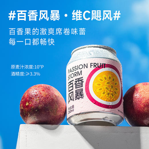 斑马精酿山楂/柚子/百香果/海盐荔枝/金桔血橙/茉莉青柠/柠檬沙瓦啤酒250ml*24罐 商品图2