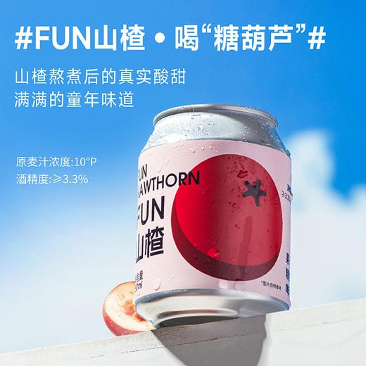 斑马精酿山楂/柚子/百香果/海盐荔枝/金桔血橙/茉莉青柠/柠檬沙瓦啤酒250ml*24罐 商品图0