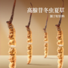 北京同仁堂 锁鲜冬虫夏草 （干虫草）（断草*100克） 商品缩略图4