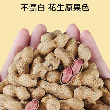 京东京造蒜香花生420g花生米下酒菜烤花生休闲零食坚果炒货量贩大袋装自营 /休闲食品 /坚果炒货 /花生 商品图8