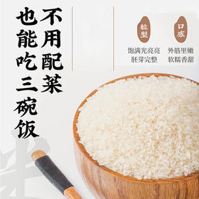 七河源越光米2.5kg 东北大米长粒米 5斤装双层包装 小长粒米 一级粳米